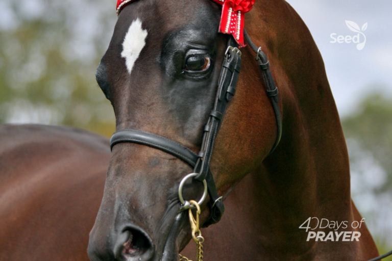 Help Me Bridle My Tongue