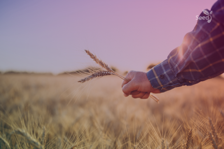 5 Benefits of Grace