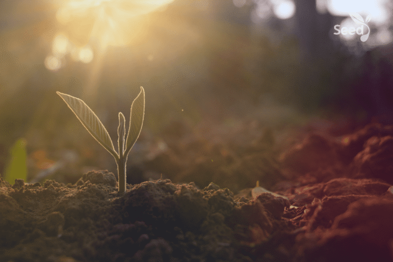 Prayer for personal growth