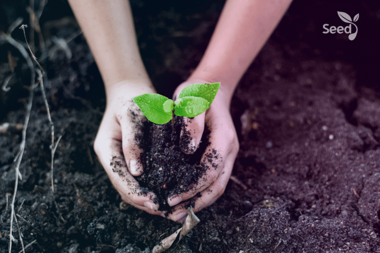 Dangers to personal growth