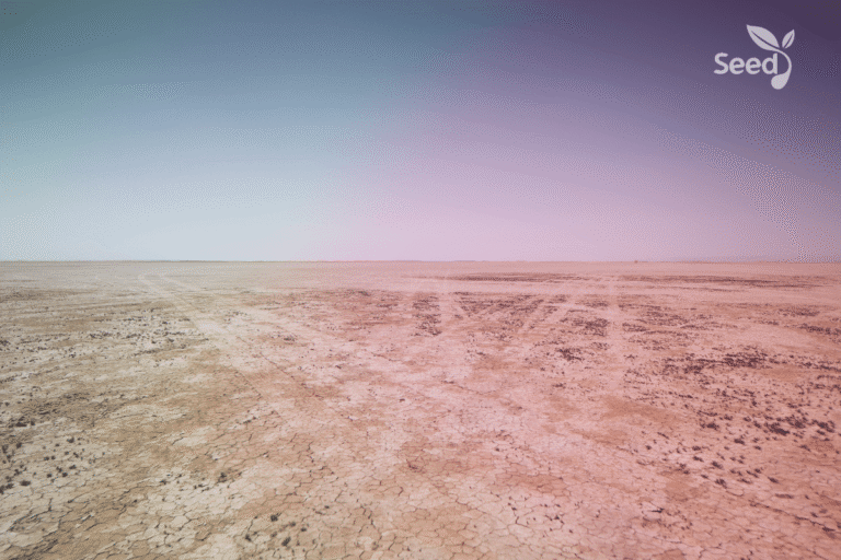 How to keep from becoming barren and unfruitful in the knowledge of Christ