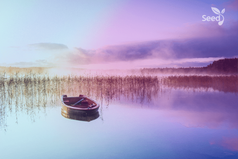 Finding peace in a troubled world
