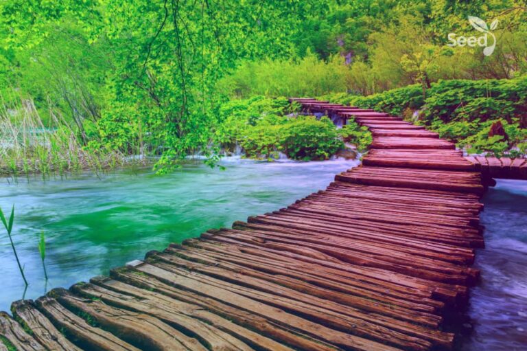 How to maintain faith in Christ