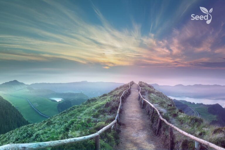 Understanding your christian calling