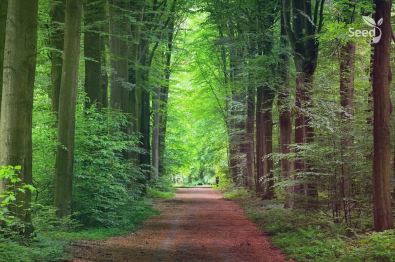 Faith should be a daily walk