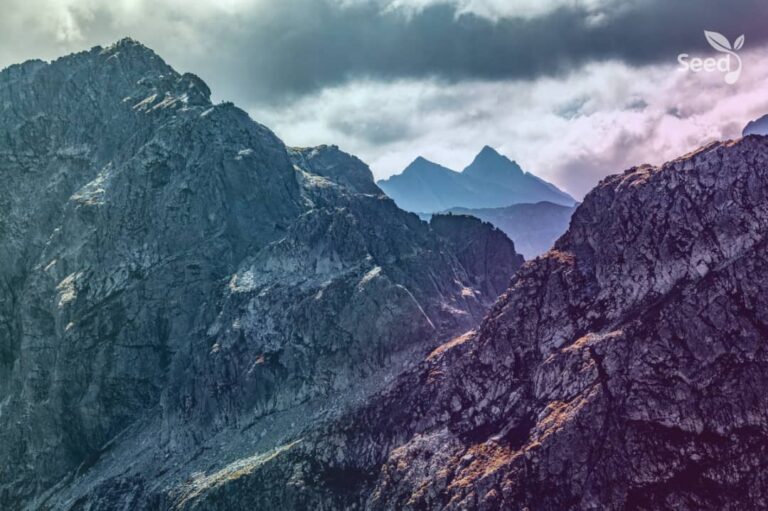 4 things we are trusting God to do