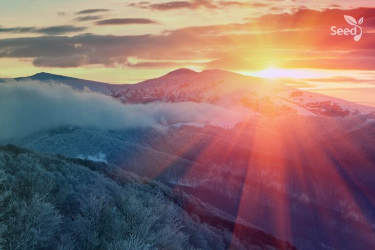 7 Ways to Build from the Broken and Shattered Pieces
