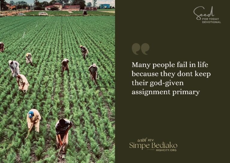 Why many people fail in their assignment!